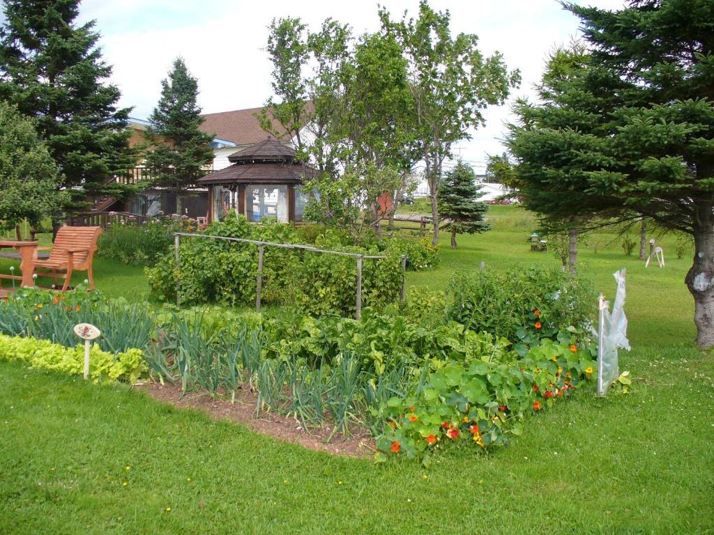 Gite Parfum De Mer Bed And Breakfast Pabos Exterior foto
