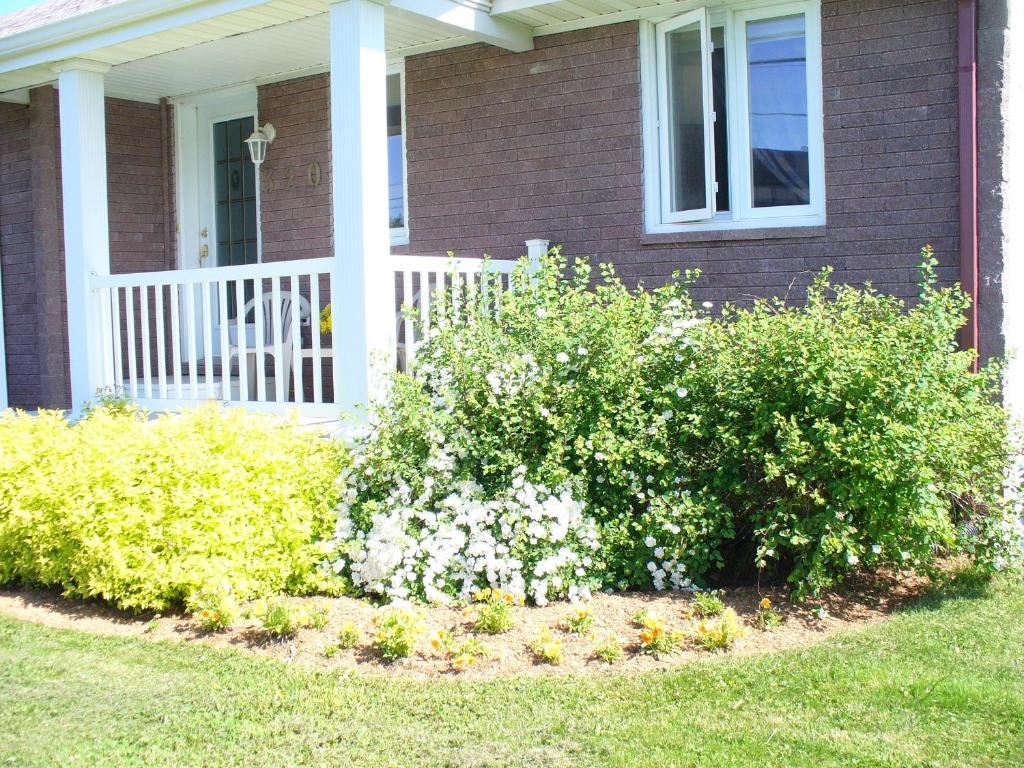 Gite Parfum De Mer Bed And Breakfast Pabos Exterior foto